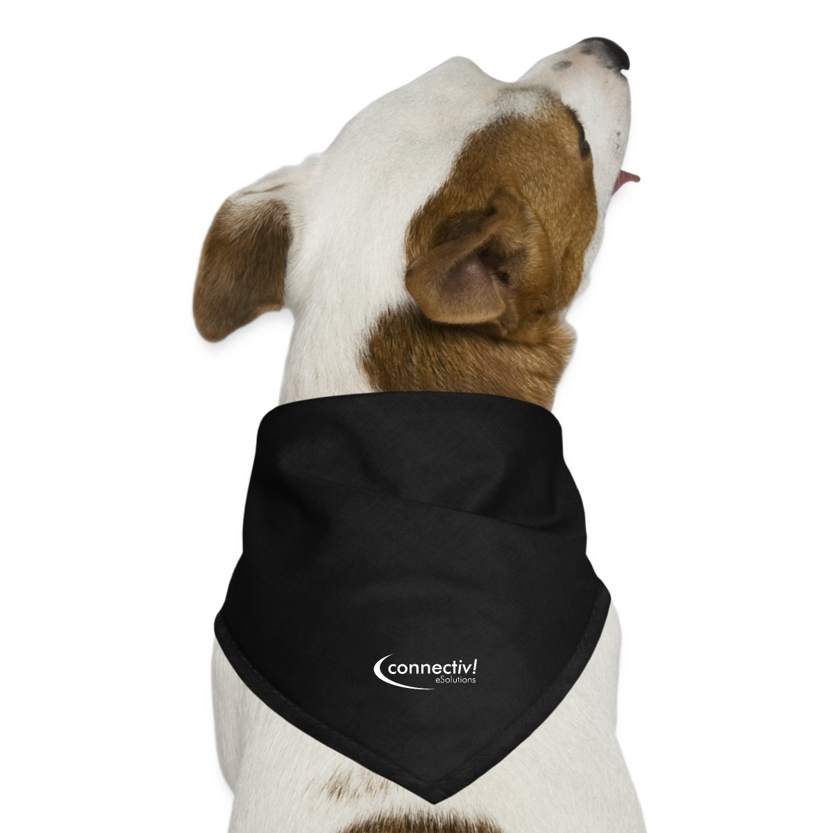 Hunde-Bandana "connectiv!"