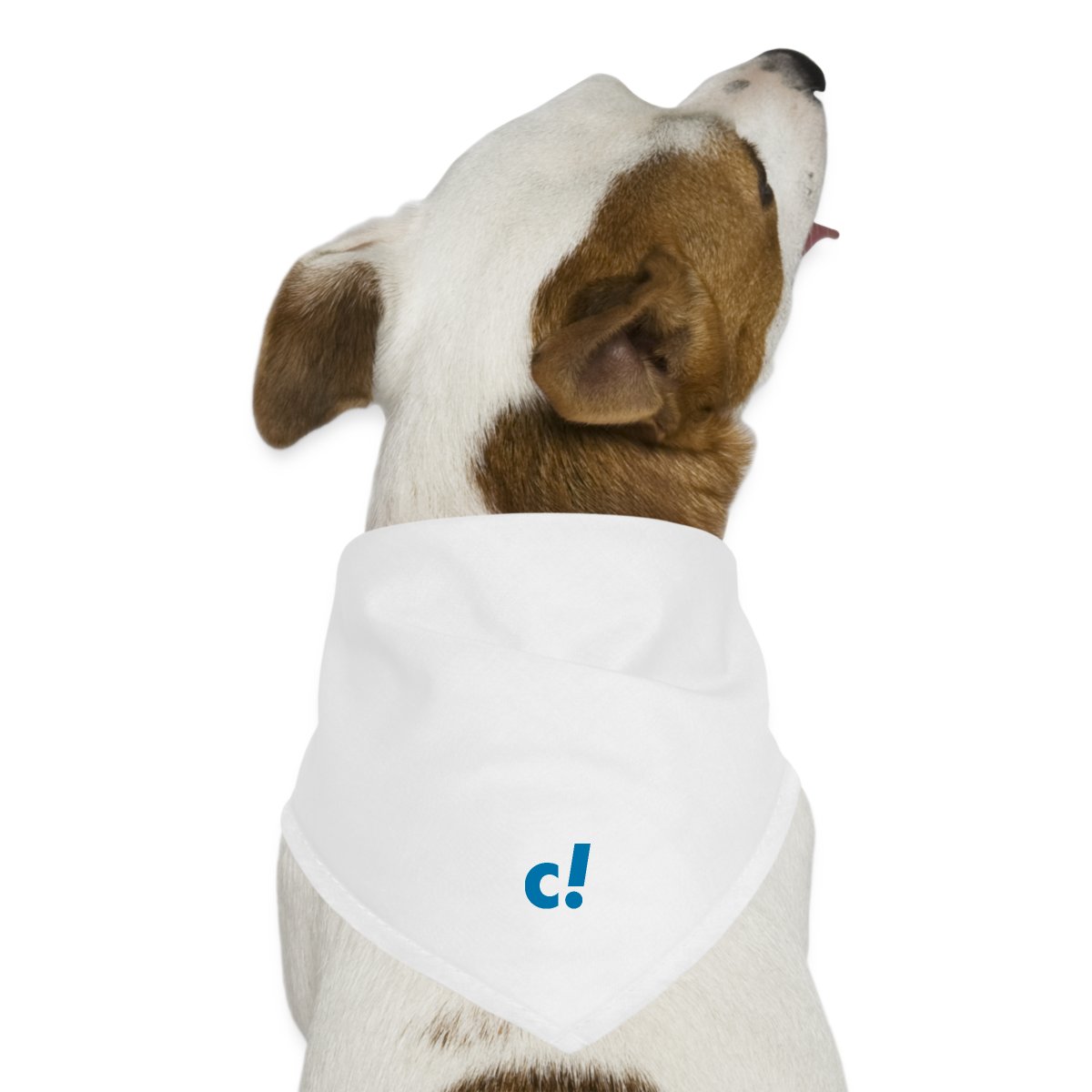Hunde-Bandana "c!"